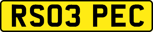 RS03PEC