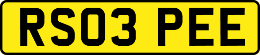 RS03PEE