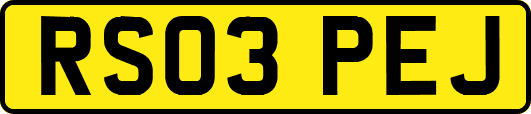 RS03PEJ
