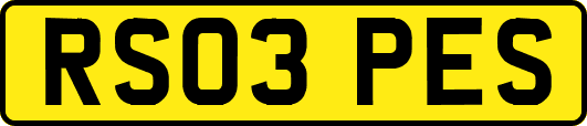 RS03PES