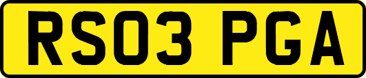 RS03PGA