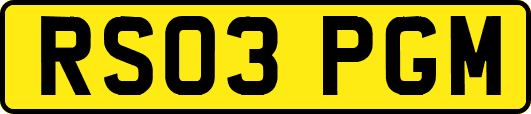 RS03PGM