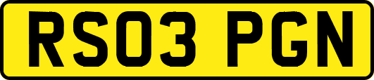 RS03PGN