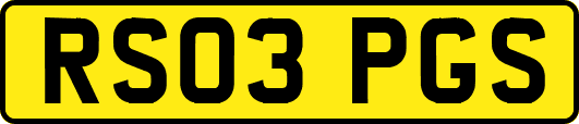 RS03PGS