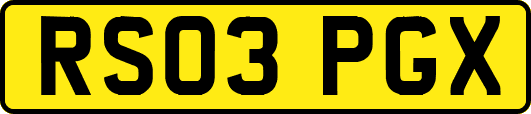 RS03PGX