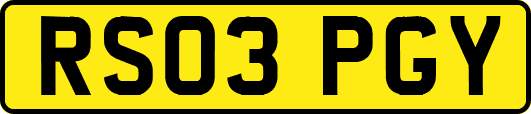 RS03PGY