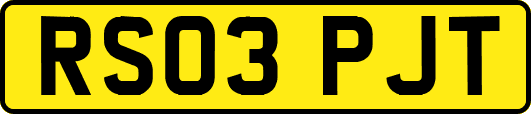RS03PJT