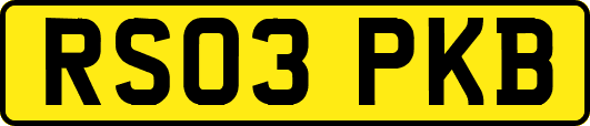RS03PKB
