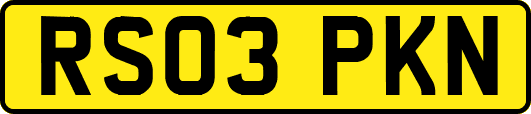 RS03PKN