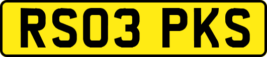 RS03PKS