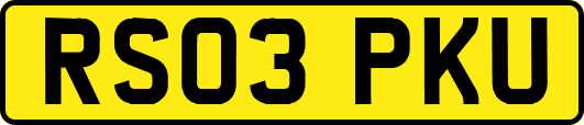 RS03PKU