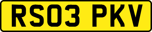 RS03PKV