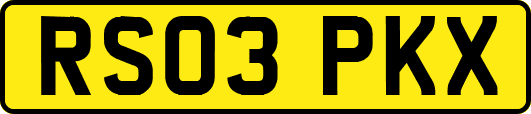 RS03PKX
