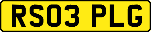 RS03PLG