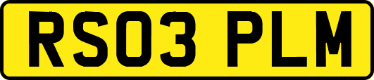 RS03PLM