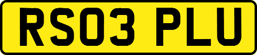 RS03PLU