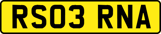 RS03RNA