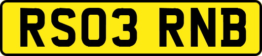 RS03RNB