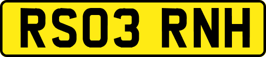 RS03RNH