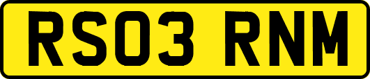 RS03RNM