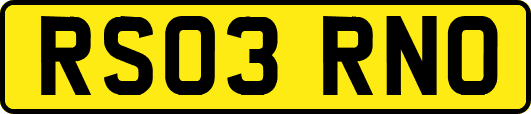 RS03RNO