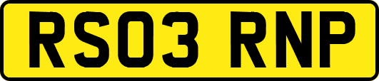 RS03RNP