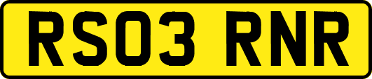 RS03RNR