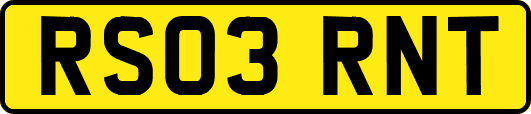 RS03RNT