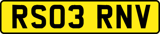 RS03RNV