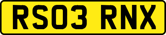 RS03RNX