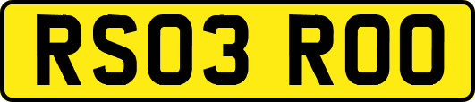 RS03ROO
