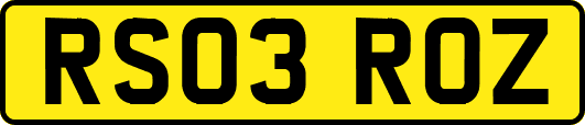 RS03ROZ