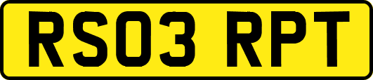 RS03RPT