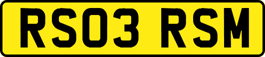 RS03RSM
