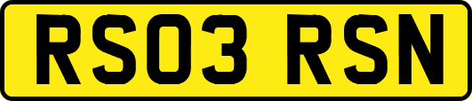 RS03RSN