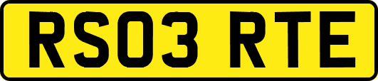 RS03RTE
