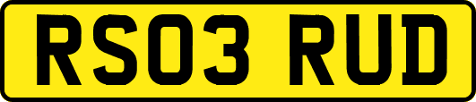 RS03RUD