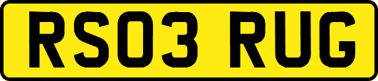 RS03RUG