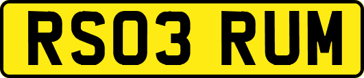 RS03RUM
