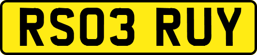 RS03RUY