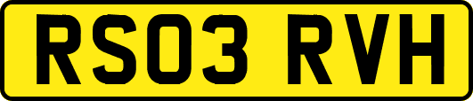 RS03RVH