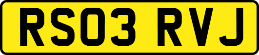 RS03RVJ