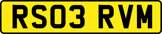 RS03RVM