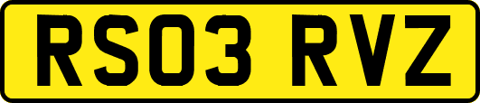RS03RVZ