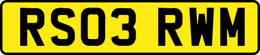 RS03RWM