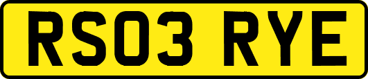 RS03RYE