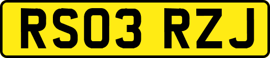 RS03RZJ