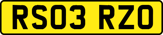 RS03RZO