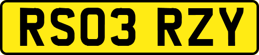 RS03RZY