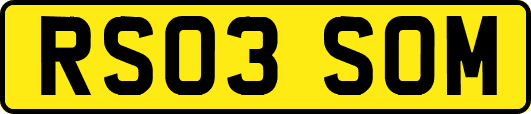 RS03SOM
